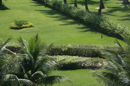Terreno - Venda - Riviera - Bertioga - SP